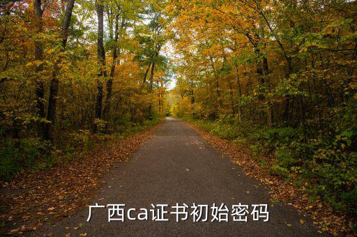 國說ca證書密碼是什么，ca證書密碼是什么