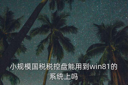 小規(guī)模國稅稅控盤能用到win81的系統(tǒng)上嗎