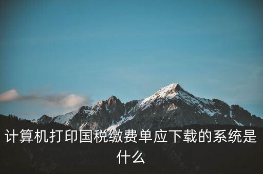 計算機打印國稅繳費單應(yīng)下載的系統(tǒng)是什么