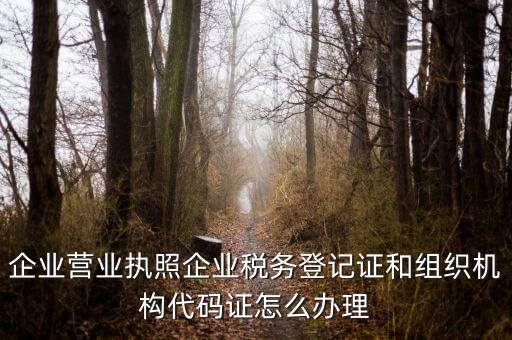 企業(yè)營業(yè)執(zhí)照企業(yè)稅務登記證和組織機構(gòu)代碼證怎么辦理