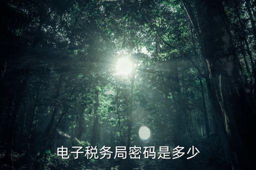 電子稅務局密碼是多少