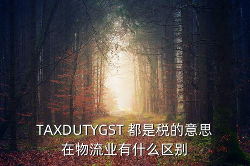 ttps稅是什么，TAXDUTYGST 都是稅的意思在物流業(yè)有什么區(qū)別