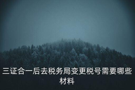 三證合一后去稅務(wù)局變更稅號(hào)需要哪些材料