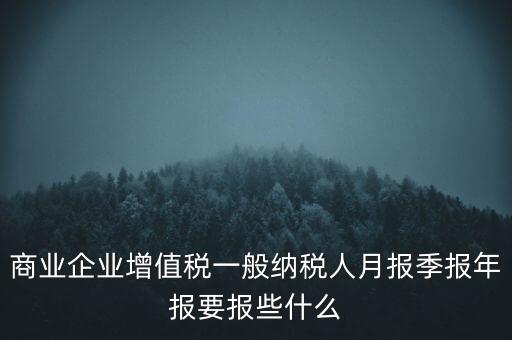 商業(yè)企業(yè)增值稅一般納稅人月報(bào)季報(bào)年報(bào)要報(bào)些什么