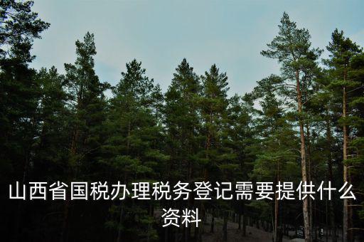 山西省國稅辦理稅務(wù)登記需要提供什么資料