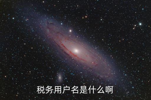 稅務(wù)用戶名是什么啊