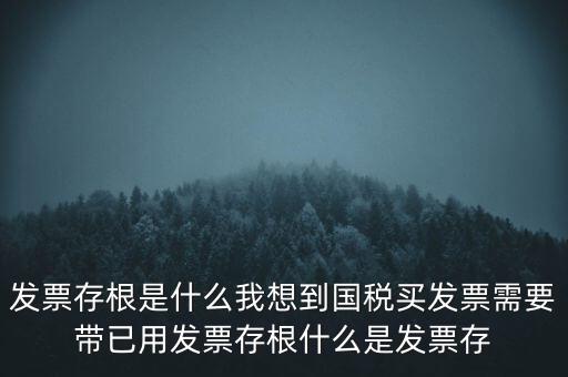 發(fā)票電子存根是什么，發(fā)票存根是什么