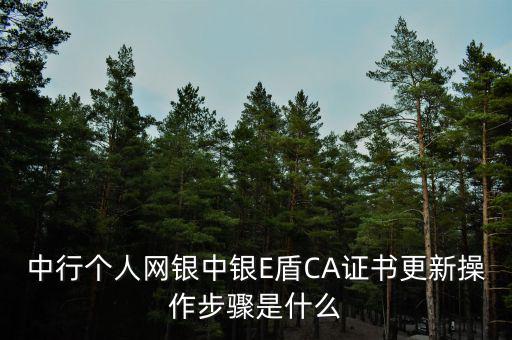 中行個人網(wǎng)銀中銀E盾CA證書更新操作步驟是什么