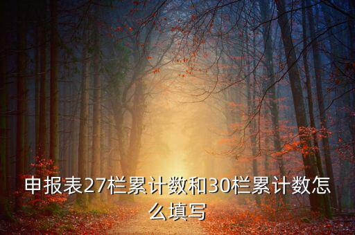 什么是期初未繳稅額，申報(bào)表27欄累計(jì)數(shù)和30欄累計(jì)數(shù)怎么填寫(xiě)