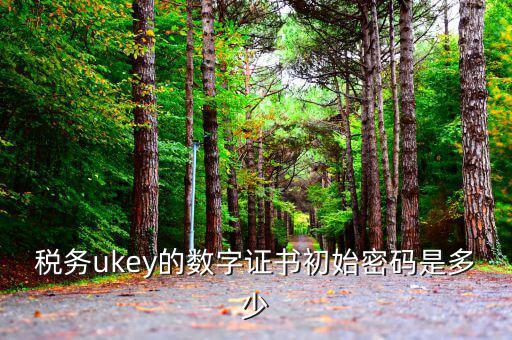 稅務ukey的數(shù)字證書初始密碼是多少