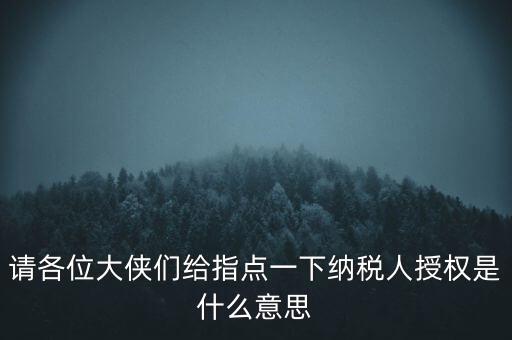 納稅人獲得感是什么意思，請各位大俠們給指點(diǎn)一下納稅人授權(quán)是什么意思