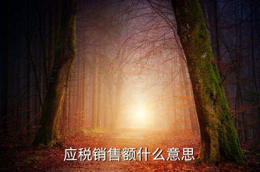 稅務(wù)銷售額是什么意思，年應(yīng)稅銷售額是什么意思