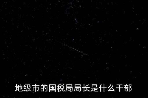 地級市的國稅局局長是什么干部