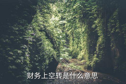 財務(wù)上空轉(zhuǎn)是什么意思