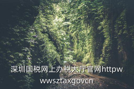 深圳國(guó)稅網(wǎng)上辦稅大廳官網(wǎng)httpwwwsztaxgovcn