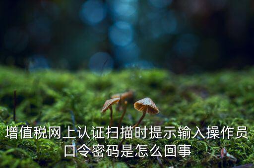 增值稅網(wǎng)上認證掃描時提示輸入操作員口令密碼是怎么回事