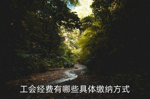 工會(huì)經(jīng)費(fèi)有哪些具體繳納方式