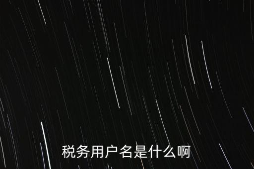 稅務(wù)用戶名是什么啊