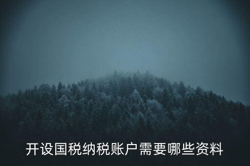 開國稅都需要帶什么資料，開設(shè)國稅納稅賬戶需要哪些資料