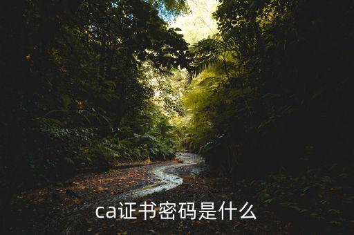 什么是國稅ca密碼是什么，ca證書密碼是什么