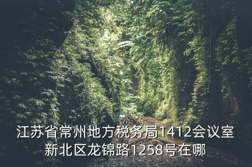 江蘇省常州地方稅務局1412會議室新北區(qū)龍錦路1258號在哪