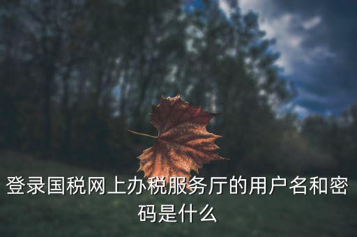 報(bào)稅企業(yè)用戶名是什么，登錄國稅網(wǎng)上辦稅服務(wù)廳的用戶名和密碼是什么