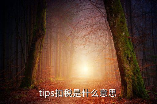 國(guó)稅tips系統(tǒng)指什么意思，電子對(duì)賬單上摘要一欄寫(xiě)有tips是什么意思