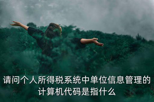 請問個(gè)人所得稅系統(tǒng)中單位信息管理的計(jì)算機(jī)代碼是指什么