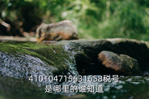 河南省的稅號(hào)是什么意思，410104715631658稅號(hào)是哪里的誰(shuí)知道