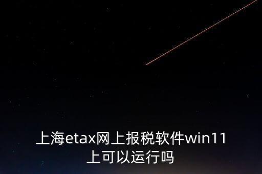 上海網(wǎng)上報稅什么軟件，上海etax網(wǎng)上報稅軟件win11上可以運行嗎