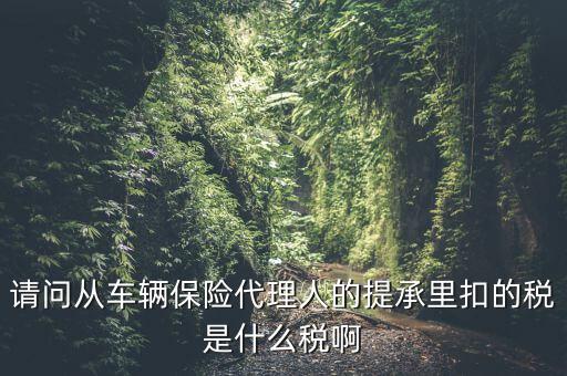 請問從車輛保險(xiǎn)代理人的提承里扣的稅是什么稅啊