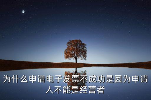 發(fā)票網(wǎng)上申領失敗什么原因，電子發(fā)票網(wǎng)上申領結果是2