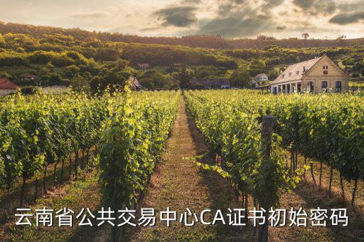 云南省公共交易中心CA證書初始密碼