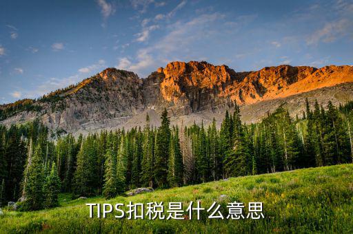 什么叫tips扣款，tips扣款和大廳扣款區(qū)別