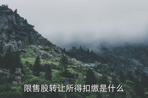 限售股轉(zhuǎn)讓所得扣繳是什么