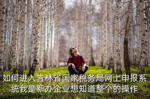 如何進入吉林省國家稅務(wù)局網(wǎng)上申報系統(tǒng)我是新辦企業(yè)想知道整個的操作