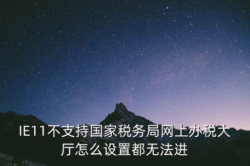 IE11不支持國家稅務(wù)局網(wǎng)上辦稅大廳怎么設(shè)置都無法進(jìn)