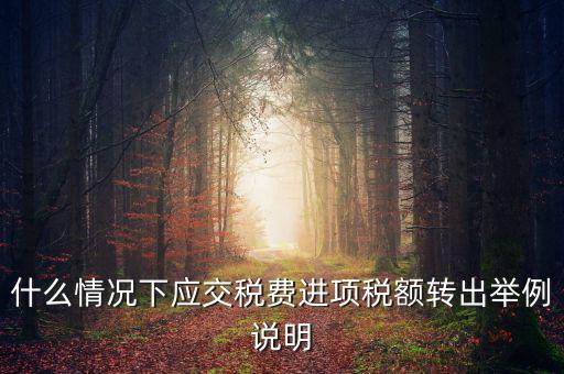 什么情況下應(yīng)交稅費(fèi)進(jìn)項(xiàng)稅額轉(zhuǎn)出舉例說明