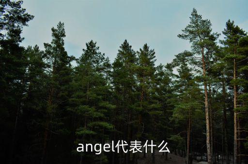 實體化管理什么意思，angel代表什么