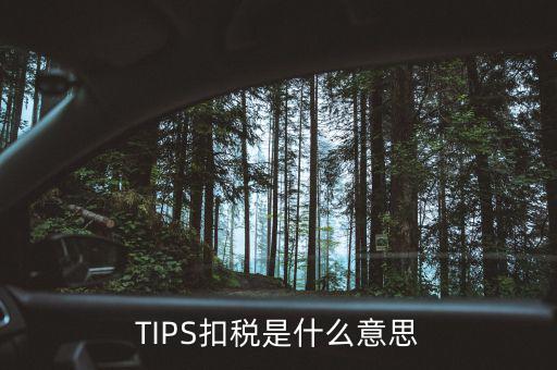 稅務(wù)tips是什么意思，tips扣稅是什么意思