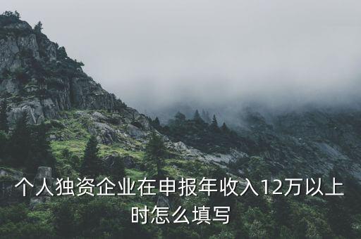 個(gè)人獨(dú)資企業(yè)在申報(bào)年收入12萬(wàn)以上時(shí)怎么填寫(xiě)