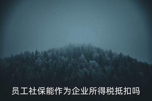 企業(yè)社?？梢缘质裁炊?，員工社保能作為企業(yè)所得稅抵扣嗎