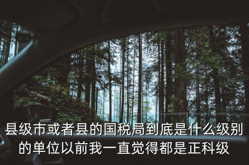 縣國稅局辦稅服務(wù)廳主任是什么級(jí)別，縣地稅局辦公室主任是什么行政級(jí)別