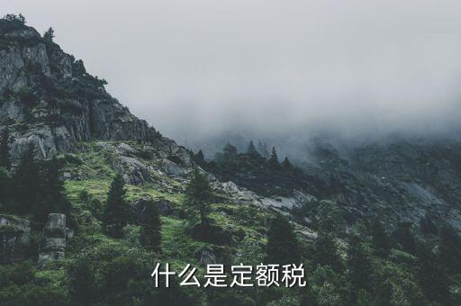 什么是定額納稅，什么是定額稅