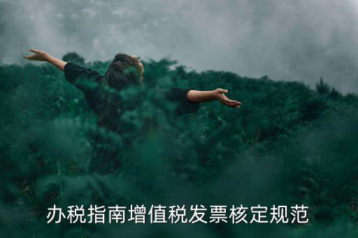 辦稅指南增值稅發(fā)票核定規(guī)范