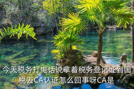 電子稅務(wù)局什么是ca登錄，網(wǎng)上報稅CA驗證系統(tǒng)是甚么