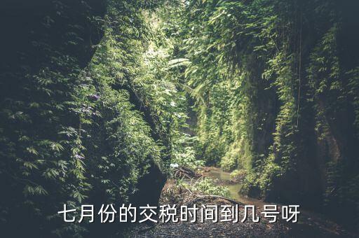 福建地稅7月報稅到什么時候，請問7月份國稅地稅的征期截止到哪天