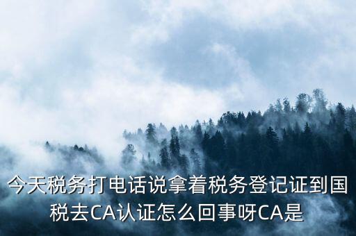 今天稅務打電話說拿著稅務登記證到國稅去CA認證怎么回事呀CA是