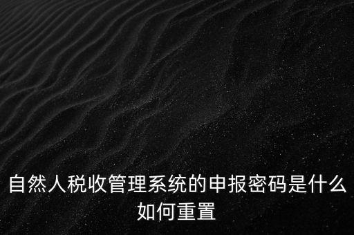 自然人稅收管理系統(tǒng)的申報密碼是什么如何重置