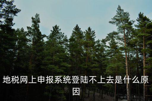 地稅網(wǎng)上申報系統(tǒng)登陸不上去是什么原因